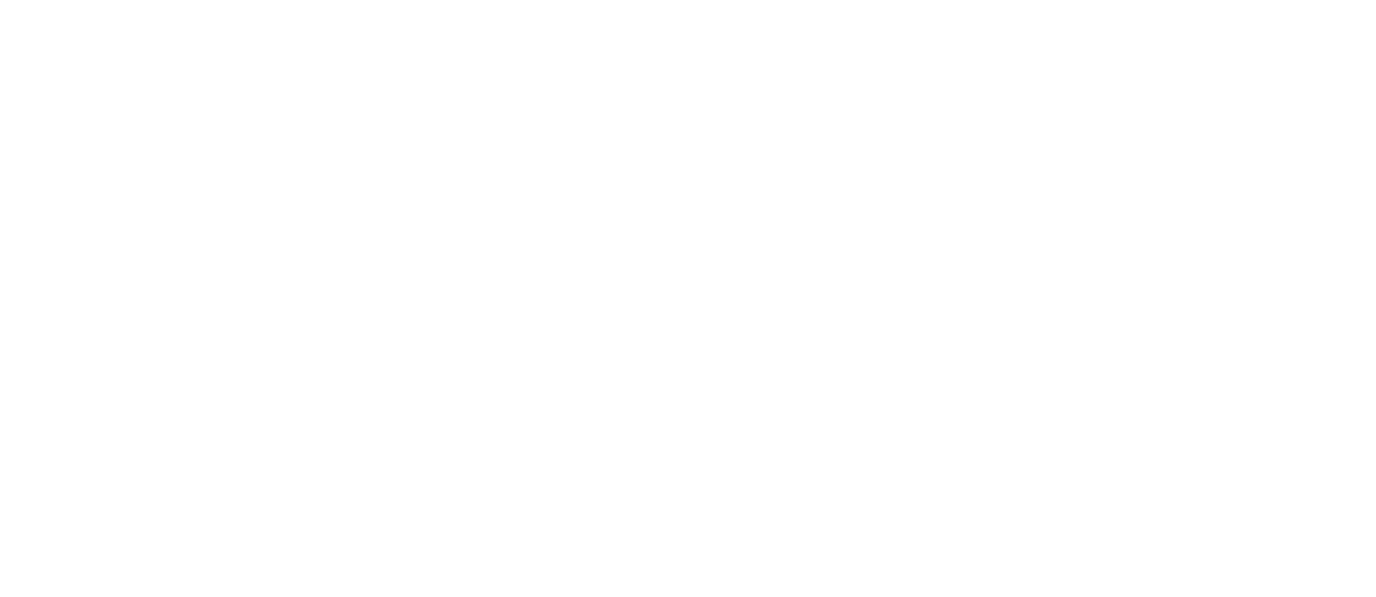 BFA Global Investors